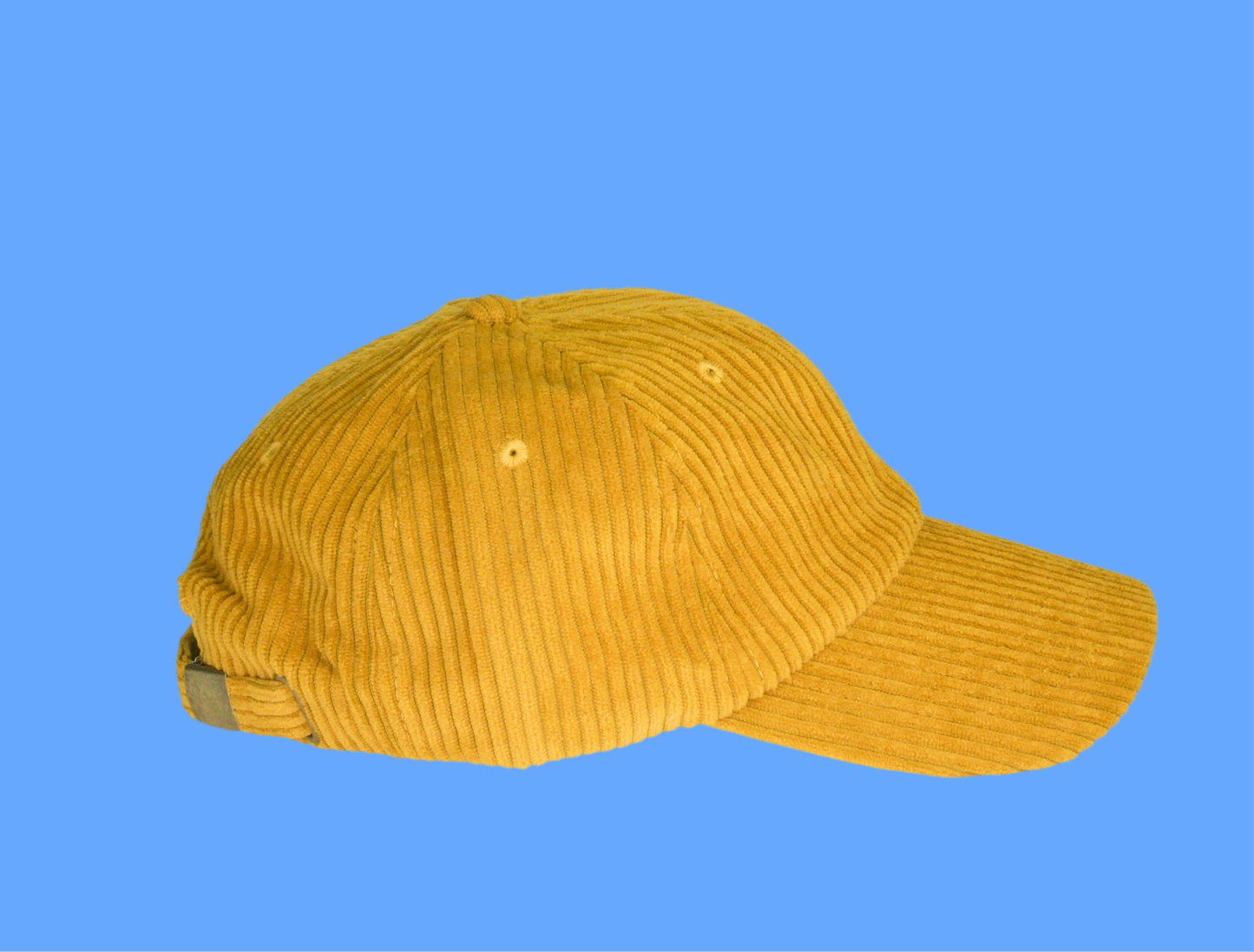 The Pops - Thick Corduroy