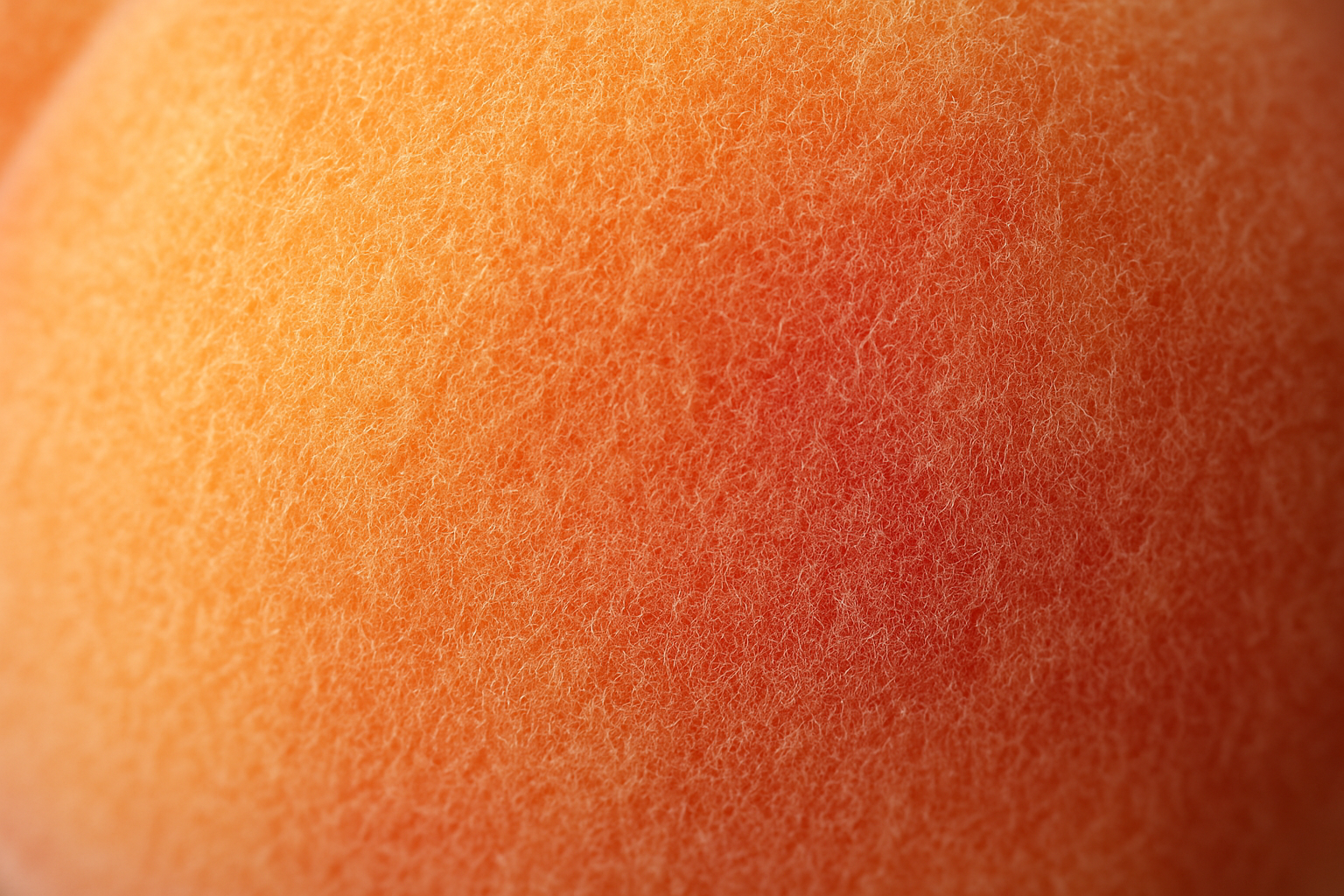 Peach skin close up