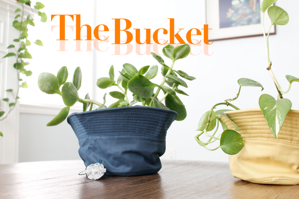 The Bucket